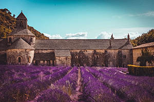 abbaye notre dame de senanque