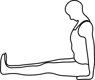 posture baton