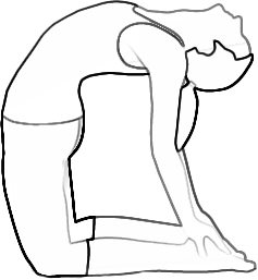 posture chameau