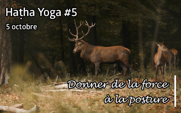 Saison 2023-2024, séance de haṭha yoga n°5 : Donner de la force à la posture