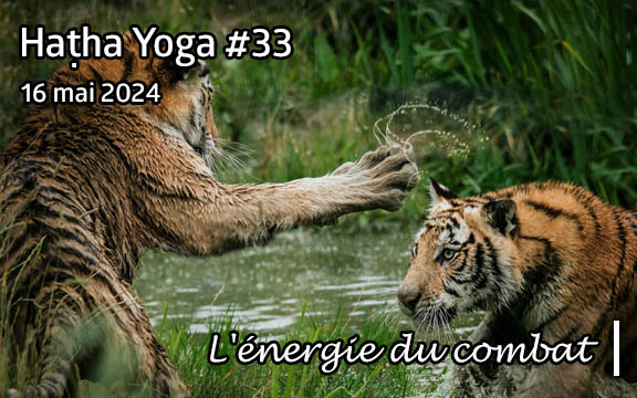 Saison 2023-2024, séance de haṭha yoga n°33 : L'énergie du combat
