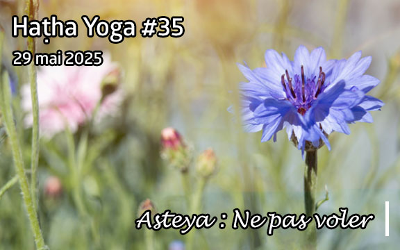 Saison 2024-2025, séance de haṭha yoga n°35 : Asteya - Ne pas voler
