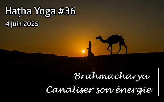 Saison 2024-2025, séance de haṭha yoga n°36 : Brahmacharya - Canaliser son énergie
