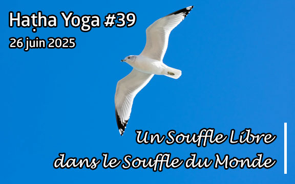 Saison 2024-2025, séance de haṭha yoga n°39 : Un Souffle Libre dans le Souffle du Monde 