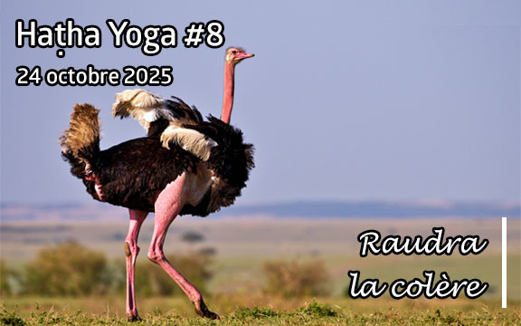 Saison 2025-2026, séance de haṭha yoga n°8 : Raudra - La Colère
