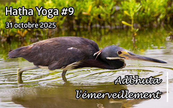 Saison 2025-2026, séance de haṭha yoga n°9 : Adbhuta - L'émerveillement