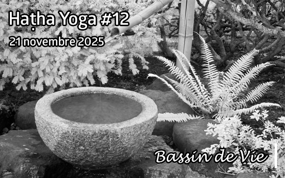 Saison 2025-2026, séance de haṭha yoga n°12 : Bassin de Vie