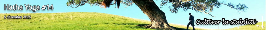 Séance de Hatha Yoga #14 : Cultiver la stabilité