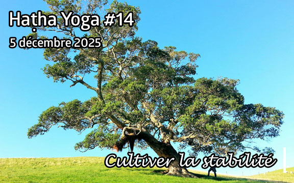 Saison 2025-2026, séance de haṭha yoga n°14 : Cultiver la stabilité