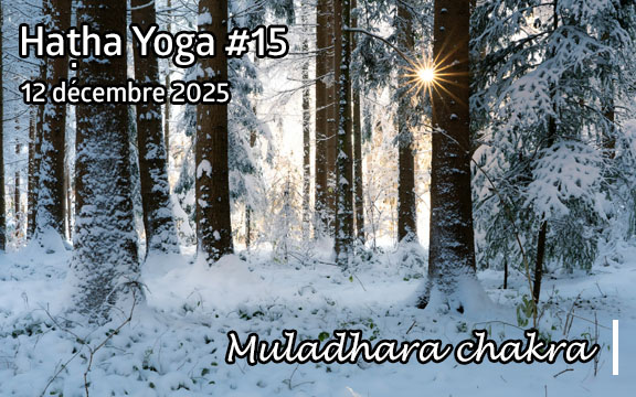 Saison 2025-2026, séance de haṭha yoga n°15 : Muladhara chakra