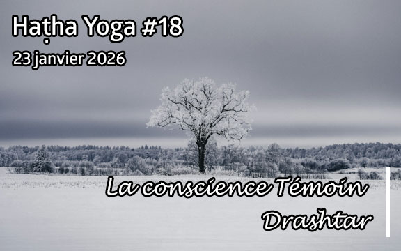 Saison 2025-2026, séance de haṭha yoga n°18 : La conscience témoin - Drashtar