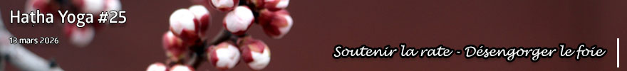 Séance de Hatha Yoga #25 : Soutenir la rate - Désengorger le foie