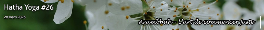 Séance de Hatha Yoga #26 : Arambhah - L'art de commencer juste