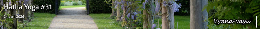 Séance de Hatha Yoga #31 : Vyana-vayu