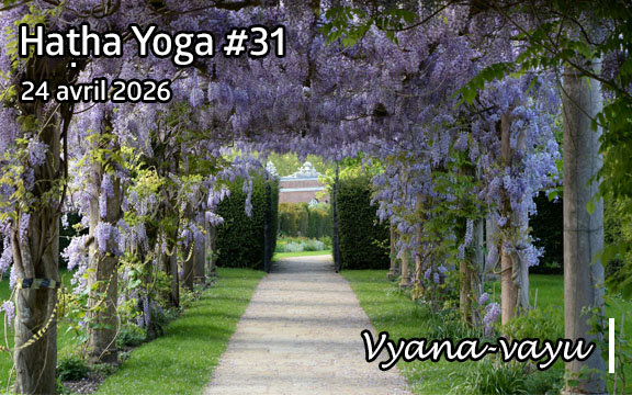 Saison 2025-2026, séance de haṭha yoga n°31 : Vyana-vayu