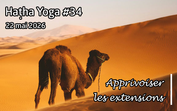 Saison 2025-2026, séance de haṭha yoga n°34 : Apprivoiser les extensions