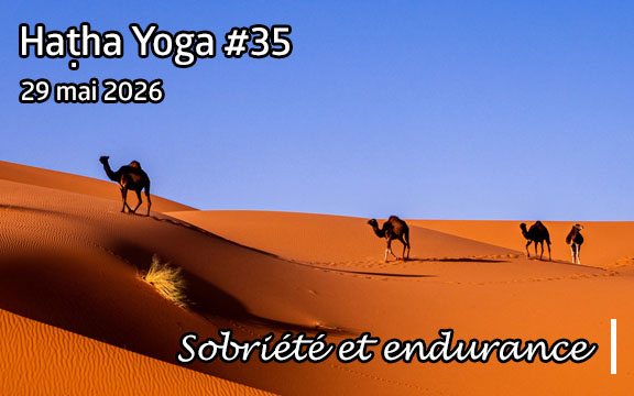 Saison 2025-2026, séance de haṭha yoga n°35 : Sobriété et endurance